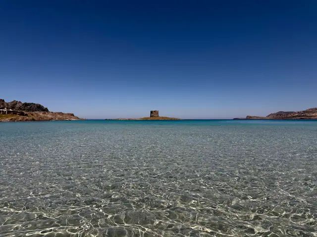 La Pelosa